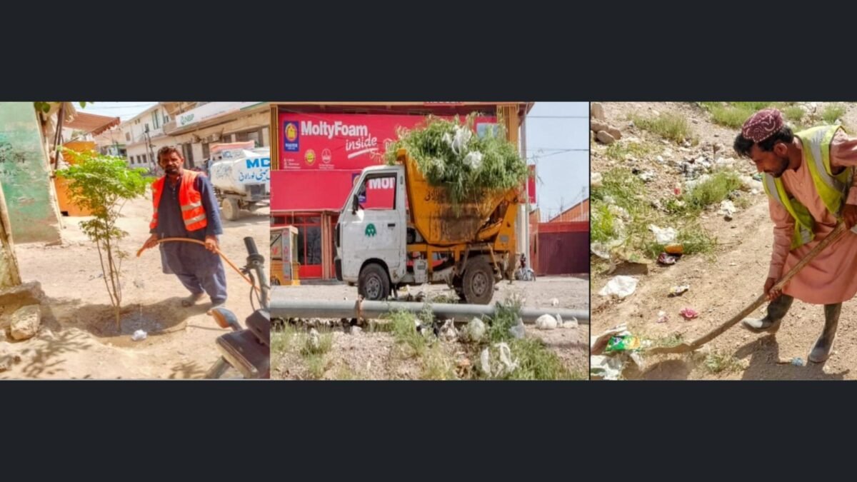 Loralai cleanliness and tree plantation drive continues; municipal staff praised for judicial colony upkeep