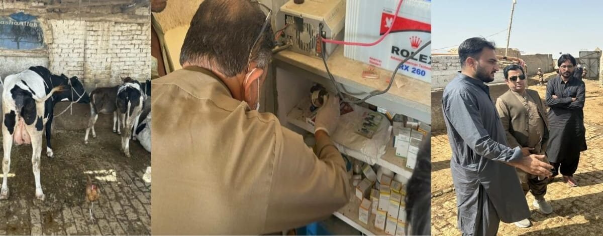 Adulterated milk: 21pc water found, 12 oxytocin packs seized, shop sealed in Quetta