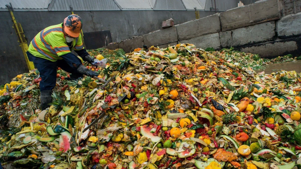 UN: Over one billion tonnes of food wasted worldwide every year