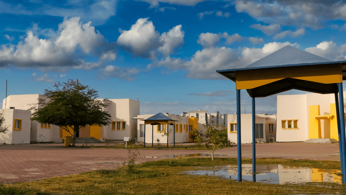 Turbat University to move all affairs to digital automation by December 2026: vice chancellor