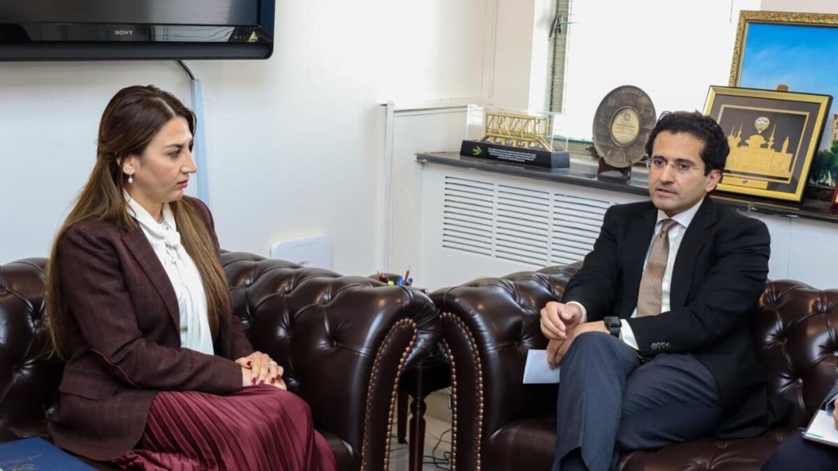 Petroleum minister meets US chargé d’affaires, agrees to expand energy cooperation