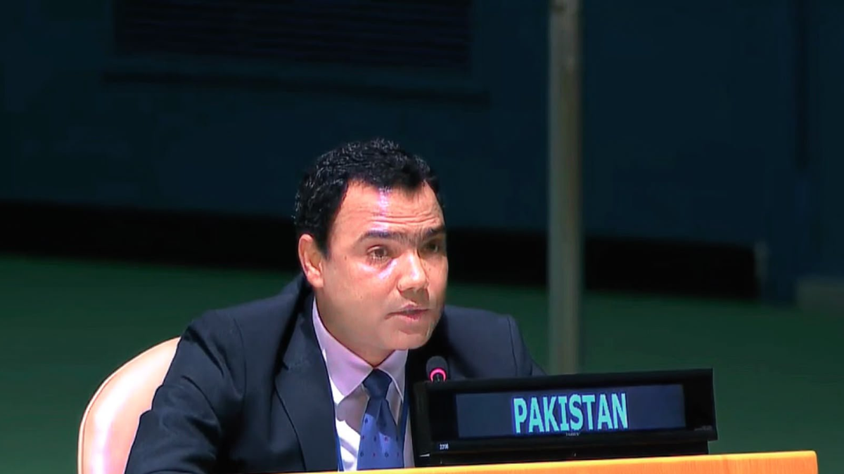 Pakistan seeks abolition or severe curbs on UN Security Council veto